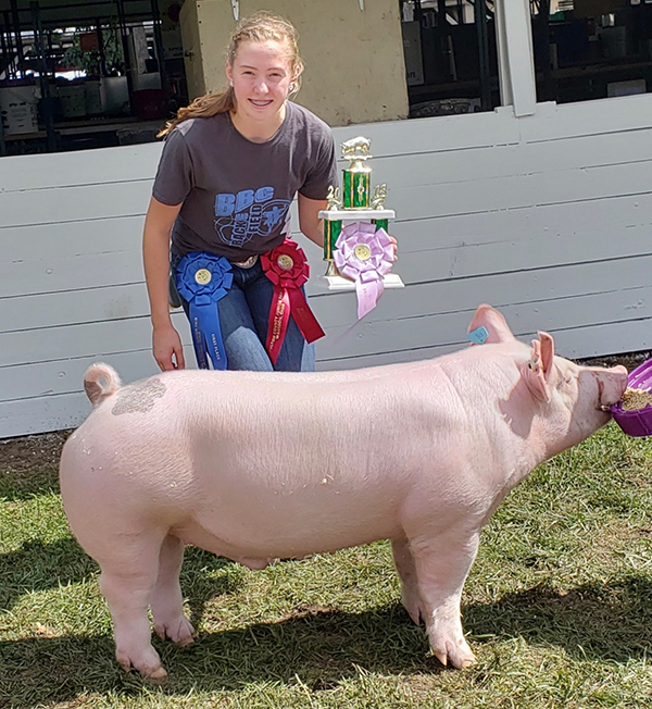 RESERVE MIDDLEWEIGHT BARROW – 2018 Fulton County, OH