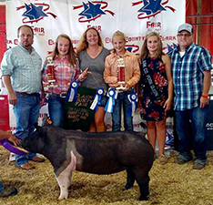 5TH OVERALL, CHAMPION FFA GILT -2018 Clark County Fair