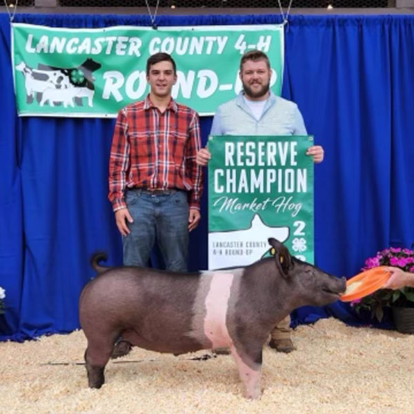 RESERVE CHAMPION OVERALL MARKET HOG – 2022 Lancaster County Fair, PA