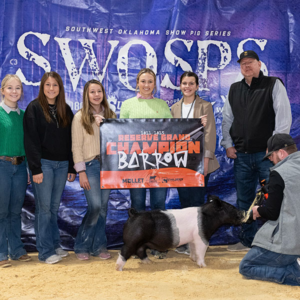 RESERVE GRAND CHAMPION BARROW – 2022 SWOSPS Jackpot, OK