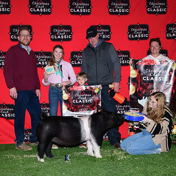 RESERVE GRAND CHAMPION, CHAMPION HAMP – 2022 Christmas Cash Classic Jackpot, TX