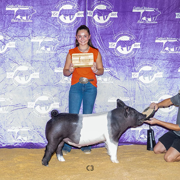 GRAND CHAMPION HAMP – 2022 Coba Summer Classic, OK