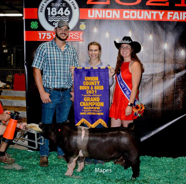 GRAND CHAMPION BORN & BRED BARROW – 2021 Union County, OH