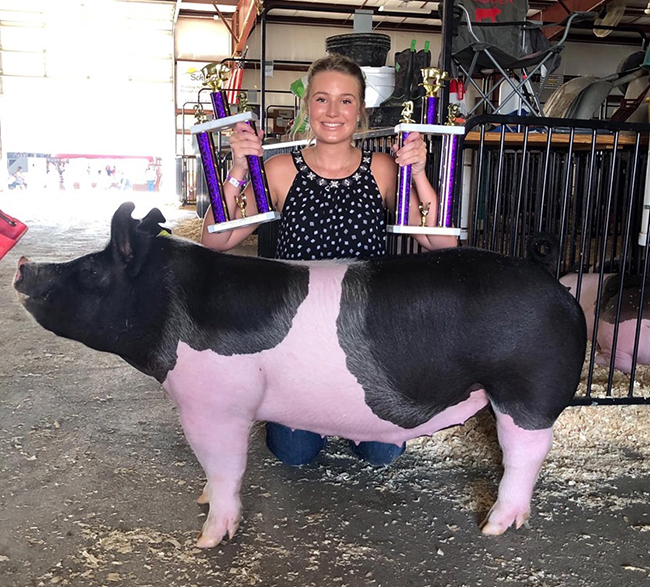 RESERVE GRAND GILT – 2019 Crawford County, OH