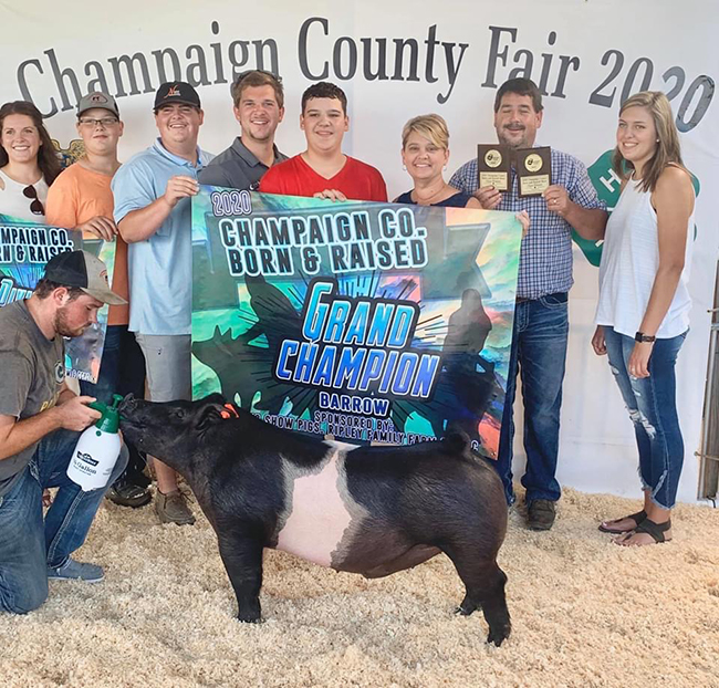 GRAND BORN & RAISED BARROW – 2020 Champaign County Fair, OH