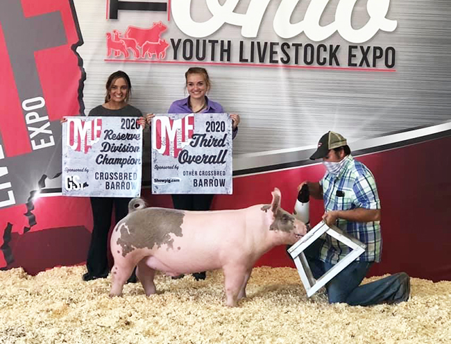 3RD OVERALL LIGHT CROSS BARROW, RESERVE CHAMPION DIV II – 2020 Ohio Youth Livestock Expo