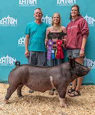CHAMPION GILT – 2020 Eaton Co Fair, MI