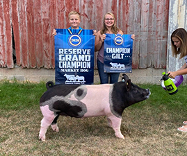 RESERVE GRAND OVERALL, CHAMPION GILT – 2020 Lenawee County Fair, MI