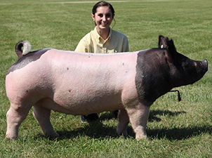 GRAND CHAMPION – 2020 Huron Co, MI