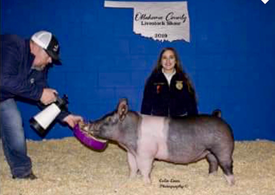 CHAMPION LIGHTWEIGHT – 2019 Oklahoma County Livestock Show