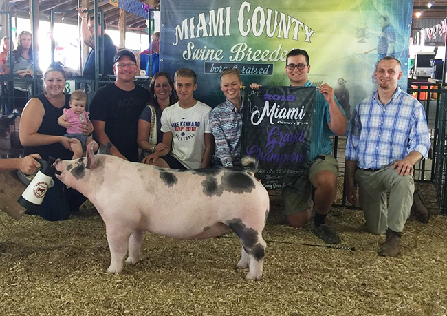 GRAND CHAMPION GILT – 2019 Miami Co Born & Raised