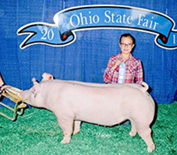 CLASS WINNING OTHER CROSS BARROW – 2018 Ohio State Fair Jr Show