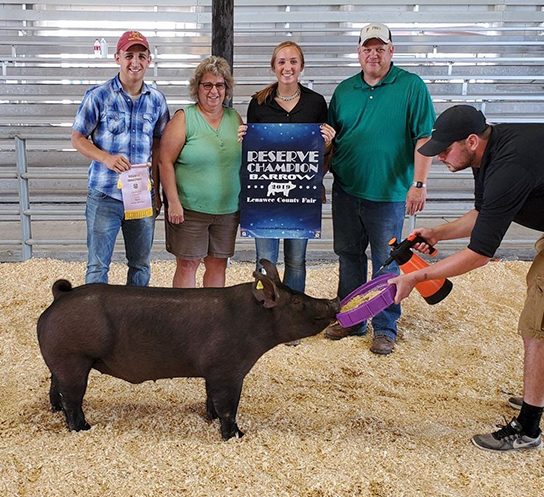 RESERVE BARROW – 2019 Lenawee Co, MI