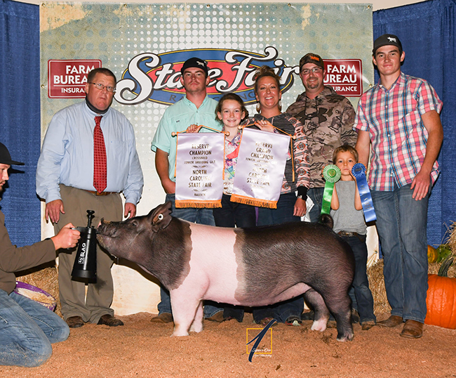 RESERVE SUPREME BREEDING GILT – 2020 North Carolina State Fair