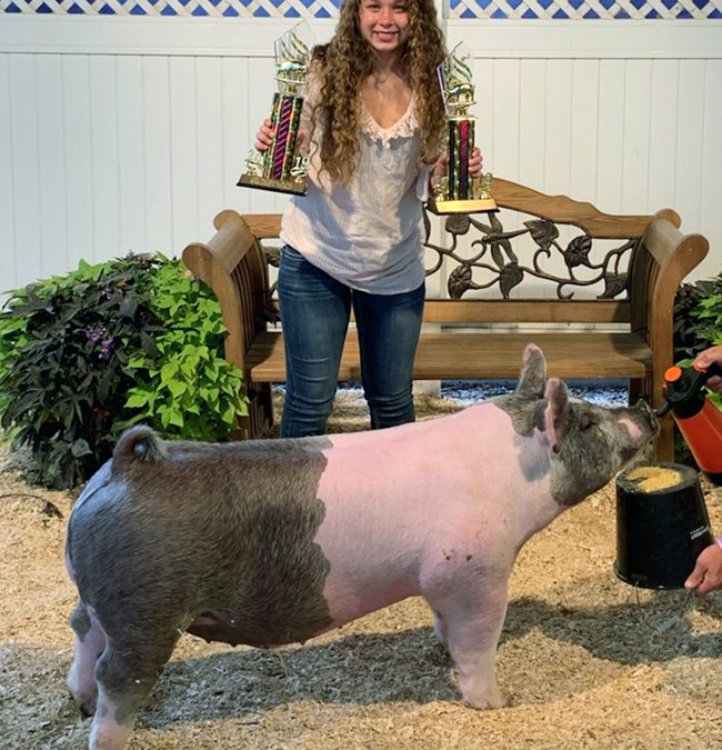 RESERVE MIDDLEWEIGHT – 2019 Henry County Fair