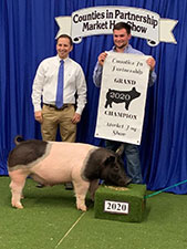 GRAND CHAMPION – 2020 Counties in Partnership Market Hog Show