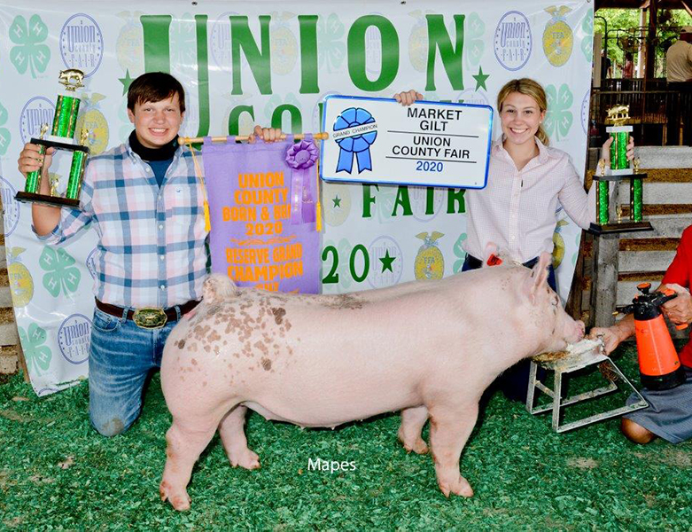 GRAND CHAMPION MARKET GILT – 2020 Union County Fair, OH