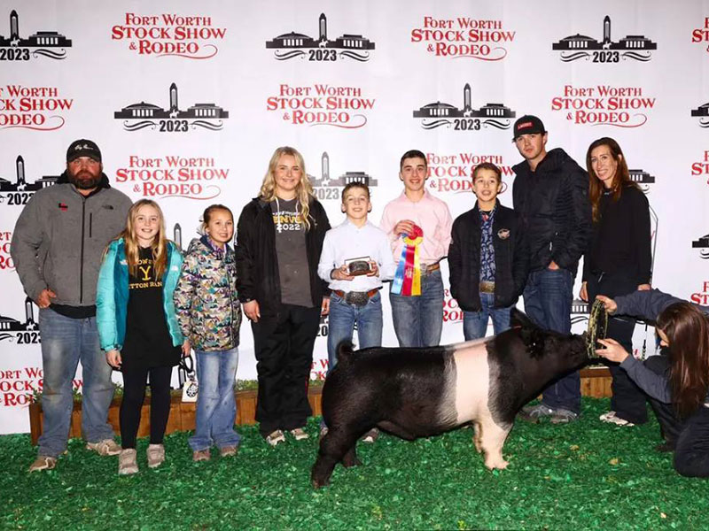 CHAMPION HAMP – 2023 Fort Worth Stock Show, TX