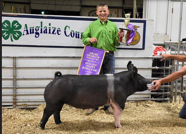 GRAND CHAMPION MARKET GILT – 2019 Auglaize Co, OH