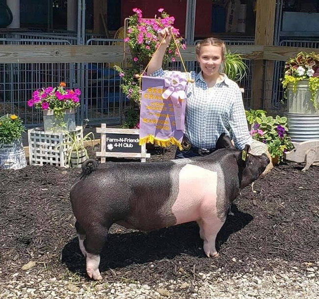 CHAMPION LIGHTWEIGHT BARROW – 2019 Marion County, OH
