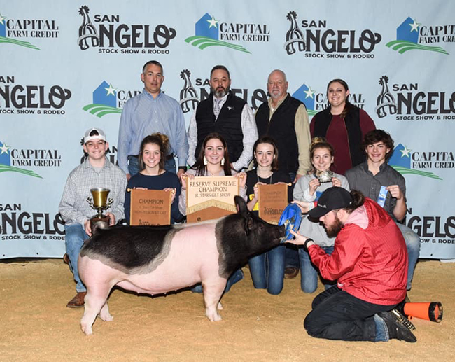 RESERVE OVERALL & CHAMPION CROSS GILT – 2020 San Angelo Stock Show