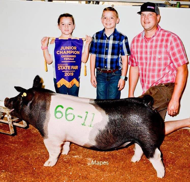 CHAMPION JUNIOR DIVISION GILT – 2019 Indiana State Fair Crossbred Classic