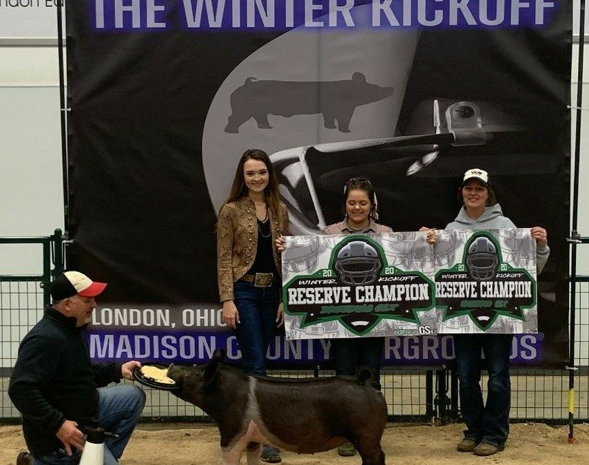 RESERVE OVERALL BREEDING GILT – 2020 Winter Kickoff Jackpot Show, OH – Ring B
