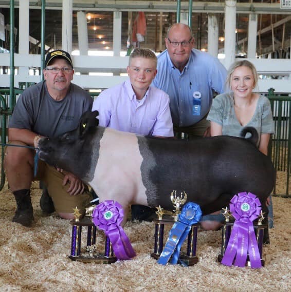 GRAND CHAMPION – 2019 Livingston County Fair, MI