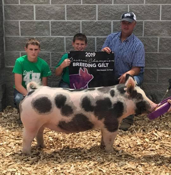 RESERVE CHAMPION BREEDING GILT – 2019 Des Moines County Fair, IA