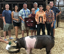 RESERVE MARKET HOG – 2018 Adams County