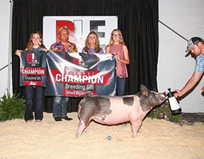 RESERVE DIVISION I – 2020 Cumberland County Corona Classic