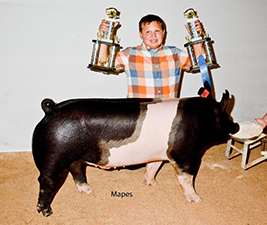 RESERVE DIVISION III BARROW – 2018 Union County Fair