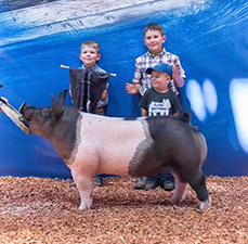 RESERVE DIVISION GILT – 2020 Miami Co. Open Gilt Show, OH