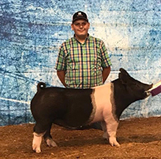 RESERVE BARROW –  2018 Filmore County Open