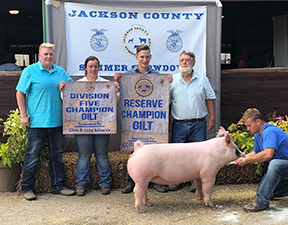 RESERVE GILT – 2020 Jackson County Summer Showdown, MI