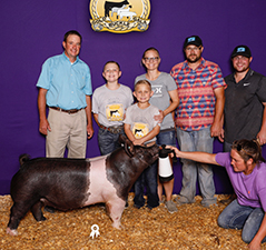 RESERVE OVERALL – 2018 Gold Buckle Extravaganza