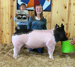 RESERVE OVERALL, RESERVE CROSSBRED – 2018 Lake Shore Hog Spectacular
