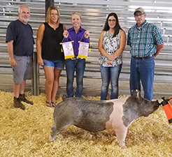 RESERVE OVERALL – 2018 Lenawee County