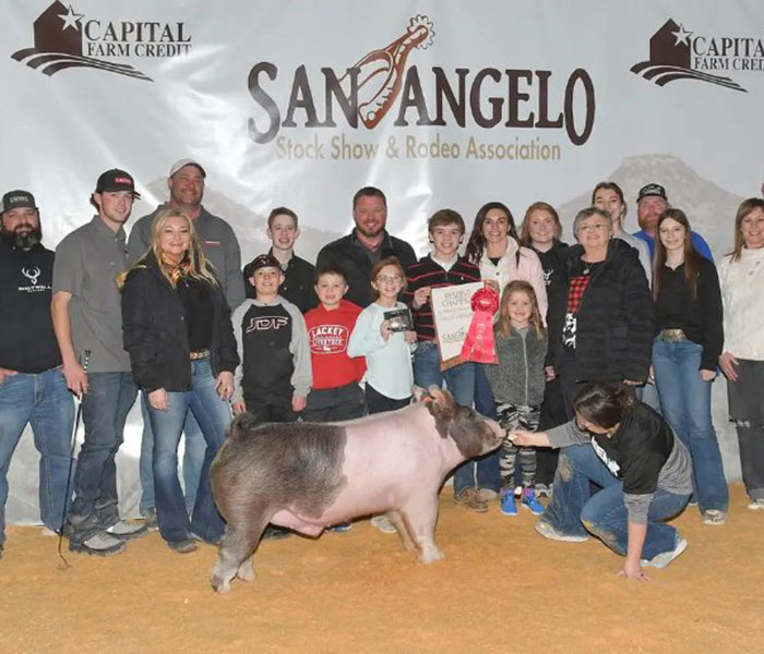 RESERVE GRAND CHAMPION LIGHT CROSS – 2023 San Angelo Stock Show, TX