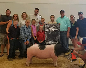 RESERVE CHAMPION BORN & RAISED – 2018 Madison County, OH