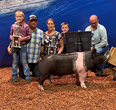 RESERVE CHAMPION BARROW – 2020 Miami County Jr Fair, OH