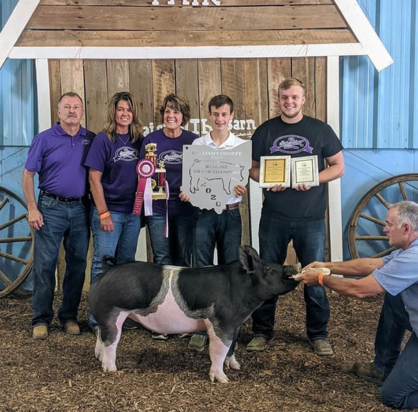 RESERVE OVERALL – 2020 Williams County Fair, OH