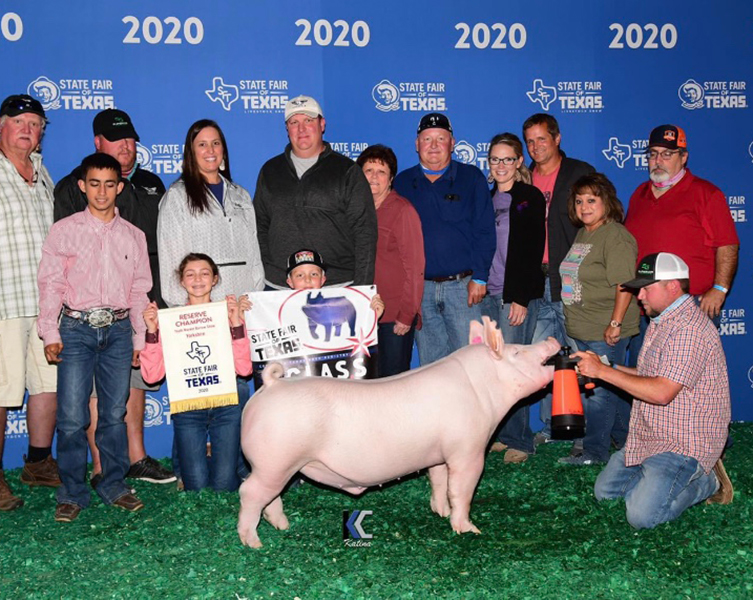 RESERVE YORKSHIRE BARROW – 2020 State Fair of Texas