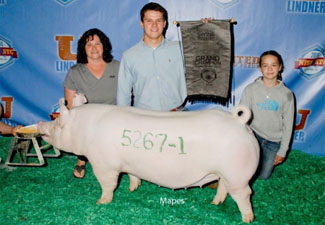 CHAMPION YORK GILT – 2016 NSR Summer Type Conference