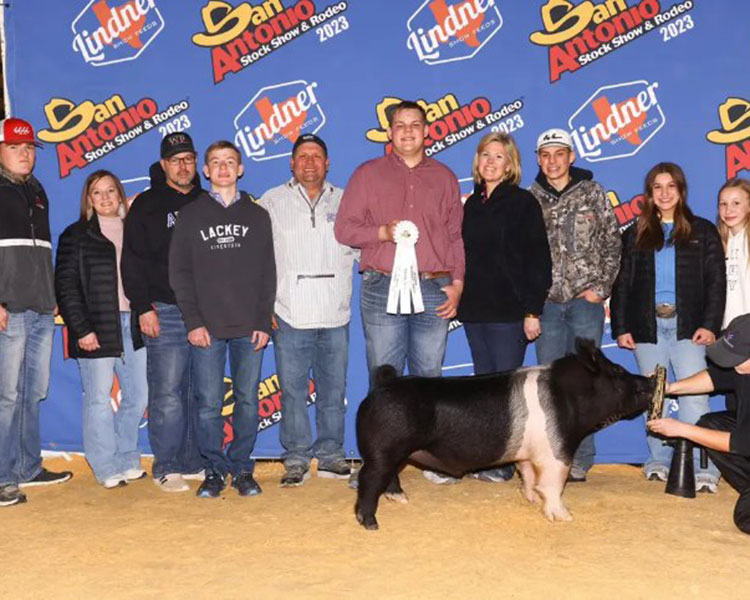 3RD IN CLASS, SALE MAKER – 2023 San Antonio Stock Show, TX