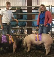 SUPREME CHAMPION BREEDING GILT OVERALL 4H/FFA – 2017 Morrow County, OR