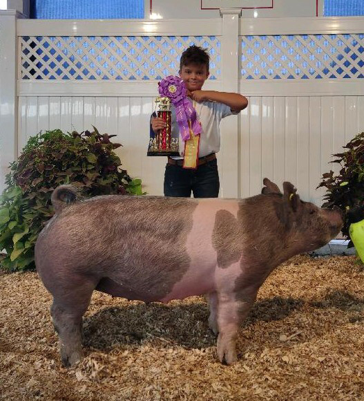 CHAMPION HEAVYWEIGHT GILT – 2021 Henry County, OH