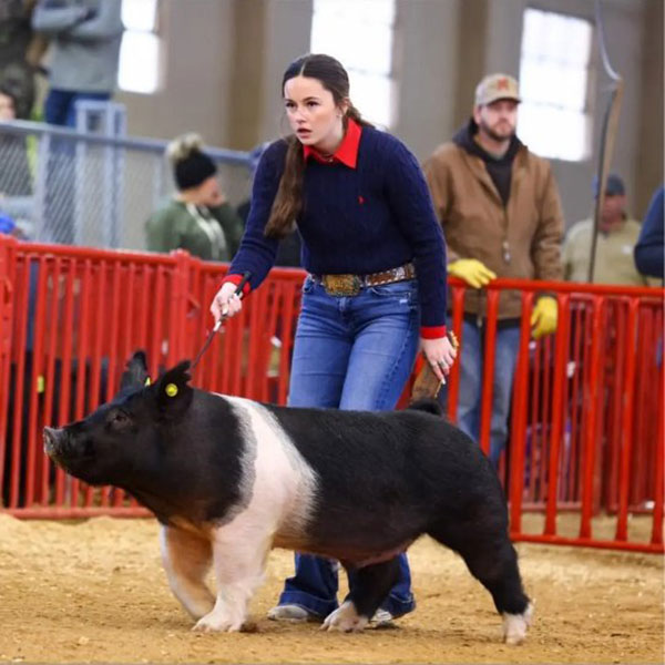 CLASS WINNER MIDDLE WEIGHT CROSSBRED – 2023 Fort Worth Stock Show, TX
