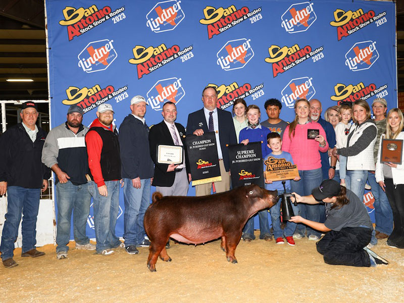 SUPREME OVERALL GILT – 2023 San Antonio Purebred Gilts