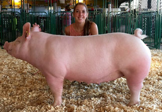 RESERVE DIVISION 4 – 2016 Stark County, OH